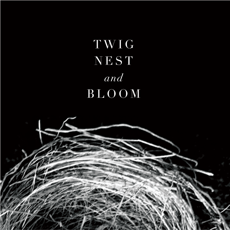 Welcome to Twig Nest and Bloom